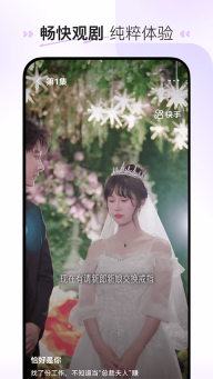 喜番短剧app官方最新版本图3