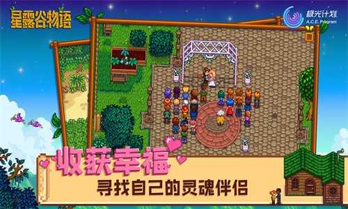 星露谷物语1.6.15手机版图2