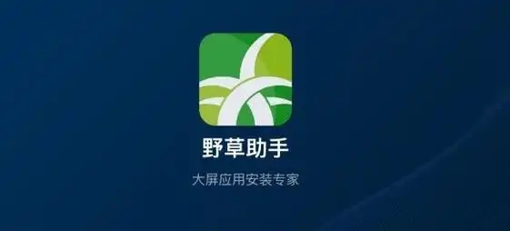 野草助手游戏合集