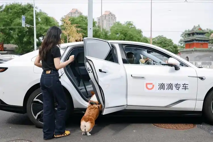 滴滴车主app大全